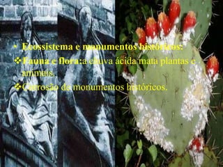 • Ecossistema e monumentos históricos:
Fauna e flora:a chuva ácida mata plantas e
  animais.
Corrosão de monumentos históricos.
 
