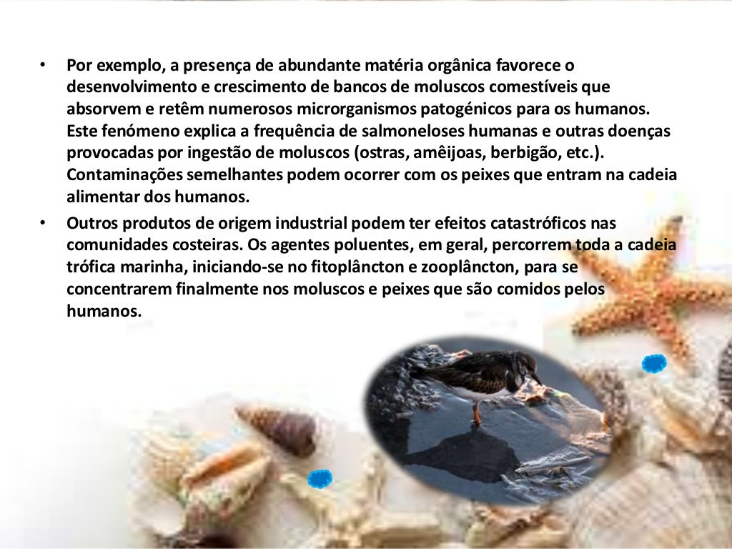 Poluição do mar