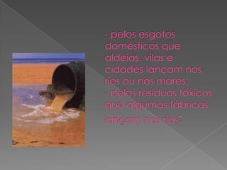 - pelos esgotos domésticos que aldeias, vilas e cidades lançam nos rios ou nos mares; - pelos resíduos tóxicos que algumas fábricas lançam nos rios; 