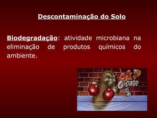 Descontaminação do Solo


Biodegradação: atividade microbiana na
eliminação de produtos químicos do
ambiente.
 