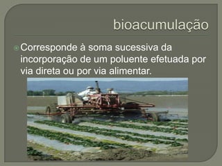  Corresponde   à soma sucessiva da
 incorporação de um poluente efetuada por
 via direta ou por via alimentar.
 