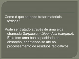 Como é que se pode tratar materiais
 tóxicos?

Pode ser tratado através de uma alga
 chamada Sargassum filipendula (sargaço).
 Esta tem uma boa capacidade de
 absorção, adaptando-se até ao
 processamento de resíduos radioativos.
 