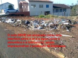 O solo DEVE ser encarado como uma interface entre o ar e a água (entre a atmosfera e a hidrosfera), sendo imprescindível à produção de biomassa. 