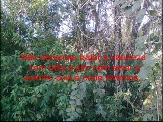 Não devemos tratar a natureza  com ódio e sim com amor e carinho pois é onde vivemos... 