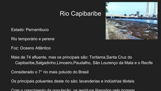 Rio Capibaribe
Estado: Pernambuco
Rio temporário e perene
Foz: Oceano Atlântico
Mais de 74 afluente, mas os principais são: Toritama,Santa Cruz do
Capibaribe,Salgadinho,Limoeiro,Paudalho, São Lourenço da Mata e o Recife
Considerado o 7° rio mais poluído do Brasil
Os principais poluentes deste rio são: lavanderias e indústrias têxteis
 