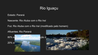 Rio Iguaçu
Estado: Paraná
Nascente: Rio Atuba com o Rio Iraí
Foz: Rio Atuba com o Rio Iraí (modificado pelo homem)
Afluentes: Rio Paraná
80% esgoto doméstico e poluição difusa
20% esgoto industrial
 