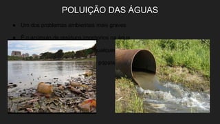 POLUIÇÃO DAS ÁGUAS
● Um dos problemas ambientais mais graves
● É o acúmulo de resíduos impróprios na água
● A água fica inapropriada para qualquer tipo de uso
● Afeta os animais existentes e a população
 