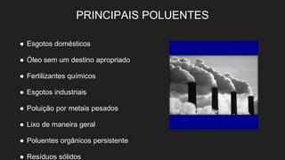 PRINCIPAIS POLUENTES
● Esgotos domésticos
● Óleo sem um destino apropriado
● Fertilizantes químicos
● Esgotos industriais
● Poluição por metais pesados
● Lixo de maneira geral
● Poluentes orgânicos persistente
● Resíduos sólidos
 