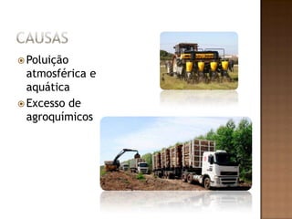 CausasPoluição atmosférica e aquáticaExcesso de agroquímicos