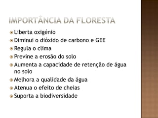 Importância da FlorestaLiberta oxigénioDiminui o dióxido de carbono e GEERegula o climaPrevine a erosão do soloAumenta a capacidade de retenção de água no soloMelhora a qualidade da águaAtenua o efeito de cheiasSuporta a biodiversidade