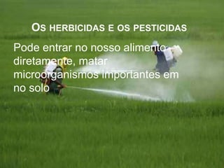 OS HERBICIDAS E OS PESTICIDAS
Pode entrar no nosso alimento
diretamente, matar
microorganismos importantes em
no solo
 