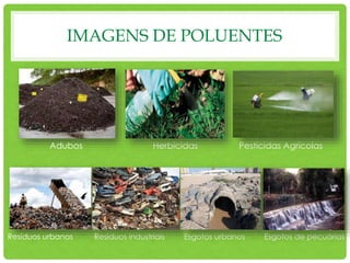 IMAGENS DE POLUENTES
Adubos Herbicidas Pesticidas Agrícolas
Resíduos urbanos Resíduos industriais Esgotos urbanos Esgotos de pecuárias
 