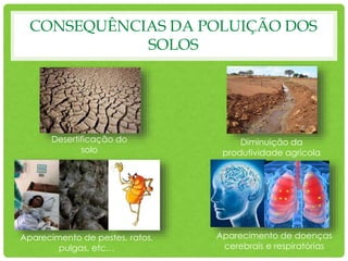 CONSEQUÊNCIAS DA POLUIÇÃO DOS
SOLOS
Diminuição da
produtividade agrícola
Desertificação do
solo
Aparecimento de doenças
cerebrais e respiratórias
Aparecimento de pestes, ratos,
pulgas, etc…
 