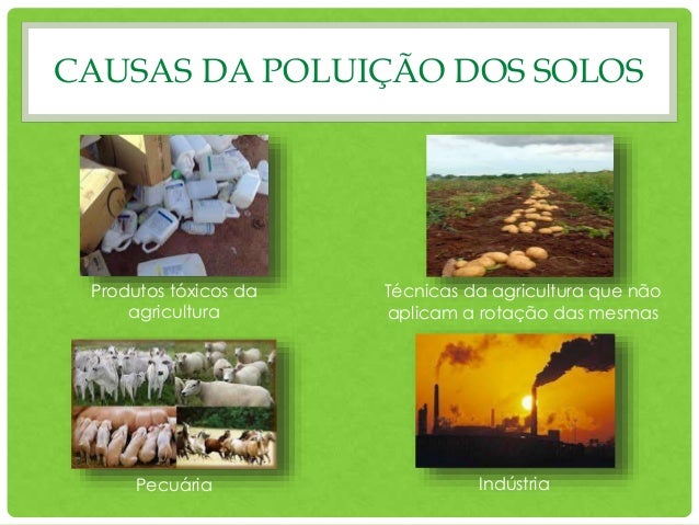 Poluição dos solos