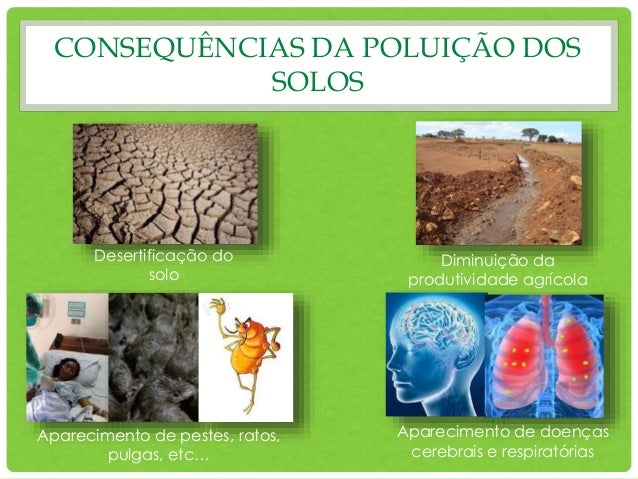 Poluição dos solos