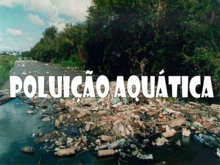Poluição Aquática 