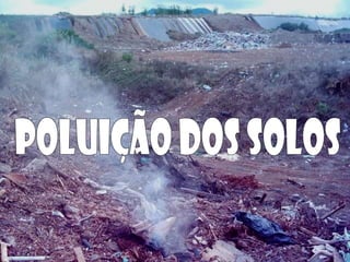 Poluição dos Solos 