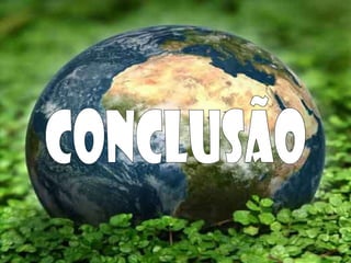 Conclusão 