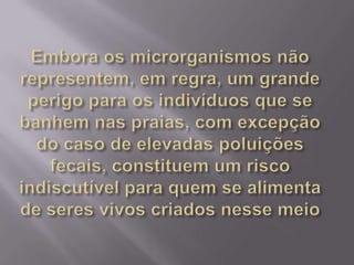 Embora os microrganismos não representem, em regra, um grande perigo para os indivíduos que se banhem nas praias, com excepção do caso de elevadas poluições fecais, constituem um risco indiscutível para quem se alimenta de seres vivos criados nesse meio