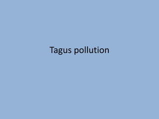 Tagus pollution
 