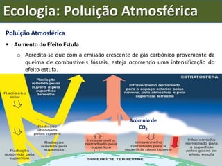 Poluição Atmosférica
 Aumento do Efeito Estufa
o Acredita-se que com a emissão crescente de gás carbônico proveniente da
queima de combustíveis fósseis, esteja ocorrendo uma intensificação do
efeito estufa.
Acúmulo de
CO2
Ecologia: Poluição Atmosférica
 