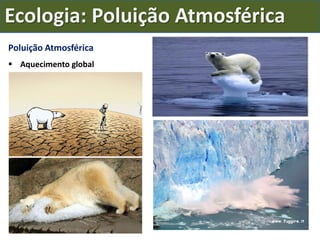 Ecologia: Poluição Atmosférica
Poluição Atmosférica
 Aquecimento global
 