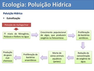 Poluição Hídrica
 Eutrofização
↑ níveis de Nitrogênio,
Potássio e fósforo na água
Crescimento populacional
de algas, que produzem
oxigênio na fotossíntese.
Proliferação
de bactérias
aeróbicas.
Redução da
concentração
de oxigênio da
água.
Morte de
vários animais
aquáticos
(peixes)
Proliferação de
bactérias
anaeróbicas
Produção
de gases
mal-
cheirosos
Poluição do rio/lago/mar
Ecologia: Poluição Hídrica
 