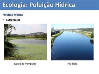 Poluição Hídrica
 Eutrofização
Lagoa da Pampulha Rio Tietê
Ecologia: Poluição Hídrica
 