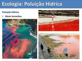 Poluição Hídrica
 Marés Vermelhas
Ecologia: Poluição Hídrica
 
