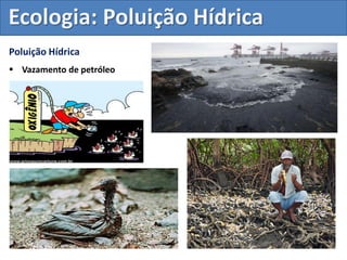 Poluição Hídrica
 Vazamento de petróleo
Ecologia: Poluição Hídrica
 