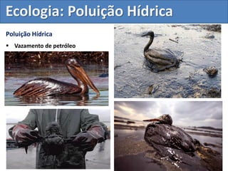 Poluição Hídrica
 Vazamento de petróleo
Ecologia: Poluição Hídrica
 