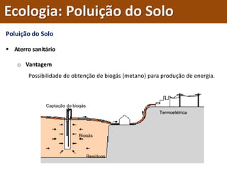 Poluição do Solo
 Aterro sanitário
o Vantagem
Possibilidade de obtenção de biogás (metano) para produção de energia.
Ecologia: Poluição do Solo
 