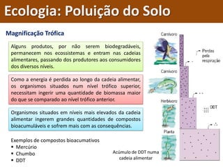 Magnificação Trófica
Alguns produtos, por não serem biodegradáveis,
permanecem nos ecossistemas e entram nas cadeias
alimentares, passando dos produtores aos consumidores
dos diversos níveis.
Como a energia é perdida ao longo da cadeia alimentar,
os organismos situados num nível trófico superior,
necessitam ingerir uma quantidade de biomassa maior
do que se comparado ao nível trófico anterior.
Acúmulo de DDT numa
cadeia alimentar
Organismos situados em níveis mais elevados da cadeia
alimentar ingerem grandes quantidades de compostos
bioacumuláveis e sofrem mais com as consequências.
Exemplos de compostos bioacumativos
 Mercúrio
 Chumbo
 DDT
Ecologia: Poluição do Solo
 