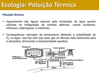 Poluição Térmica
 Aquecimento das águas naturais pela introdução da água quente
utilizada na refrigeração de centrais elétricas, usinas nucleares,
refinarias, siderúrgicas, e indústrias.
 Consequência: elevação da temperatura afetando a solubilidade do
O2 na água. Isso faz com que esse gás se difunda mais facilmente para
a atmosfera, diminuindo a biodiversidade aquática.
Ecologia: Poluição Térmica
 