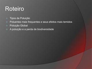Roteiro
   Tipos de Poluição
   Poluentes mais frequentes e seus efeitos mais temidos
   Poluição Global
   A poluição e a perda de biodiversidade
 