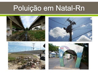 Poluição sonora e visual