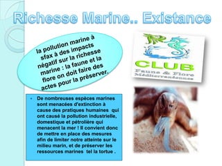  De nombreuses espèces marines
sont menacées d'extinction à
cause des pratiques humaines qui
ont causé la pollution industrielle,
domestique et pétrolière qui
menacent la mer ! Il convient donc
de mettre en place des mesures
afin de limiter notre atteinte sur le
milieu marin, et de préserver les
ressources marines tel la tortue .
 