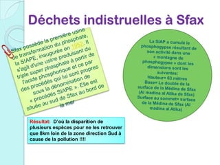 Déchets indistruelles à Sfax
Résultat: D’où la disparition de
plusieurs espèces pour ne les retrouver
que 8km loin de la zone direction Sud à
cause de la pollution !!!!
 