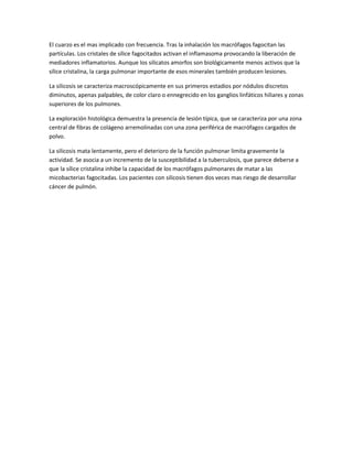 El cuarzo es el mas implicado con frecuencia. Tras la inhalación los macrófagos fagocitan las
partículas. Los cristales de sílice fagocitados activan el inflamasoma provocando la liberación de
mediadores inflamatorios. Aunque los silicatos amorfos son biológicamente menos activos que la
sílice cristalina, la carga pulmonar importante de esos minerales también producen lesiones.
La silicosis se caracteriza macroscópicamente en sus primeros estadios por nódulos discretos
diminutos, apenas palpables, de color claro o ennegrecido en los ganglios linfáticos hiliares y zonas
superiores de los pulmones.
La exploración histológica demuestra la presencia de lesión típica, que se caracteriza por una zona
central de fibras de colágeno arremolinadas con una zona periférica de macrófagos cargados de
polvo.
La silicosis mata lentamente, pero el deterioro de la función pulmonar limita gravemente la
actividad. Se asocia a un incremento de la susceptibilidad a la tuberculosis, que parece deberse a
que la sílice cristalina inhibe la capacidad de los macrófagos pulmonares de matar a las
micobacterias fagocitadas. Los pacientes con silicosis tienen dos veces mas riesgo de desarrollar
cáncer de pulmón.
 