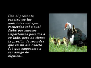 Con el presente 
construyes las 
anécdotas del ayer, 
recuerdas tal o cual 
fecha por sucesos 
importantes pasados a 
su lado, pero no tienes 
la presión de recordar 
que en un día exacto 
fué que empezaste a 
ser amigo de 
alguien... 
 