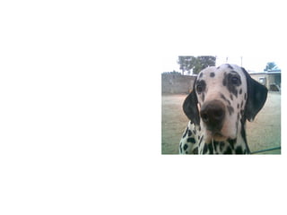 ¡Que la vida te sonría 
siempre! 
Recuerda que cada vez 
que sonries se borra una 
tristeza y se ilumina una 
esperanza. Muchas 
personas entrarán y 
saldrán de tu vida; pero 
sólo verdaderos amigos 
dejaran huellas en tu 
corazón 
 