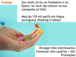 Twitter Seu chefe já viu no Fantástico e na Época. Se você não colocar na sua campanha tá frito! Mais de 118 mil perfis em língua portuguesa (Ranking CrisDias) Divulgar links interessantes Conversar com usuários / SAC Promoções 