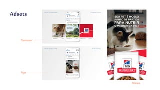 Adsets
Stories
Carrossel
Post
 