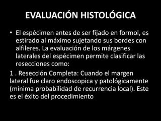 EVALUACIÓN HISTOLÓGICA
• El espécimen antes de ser fijado en formol, es
estirado al máximo sujetando sus bordes con
alfileres. La evaluación de los márgenes
laterales del espécimen permite clasificar las
resecciones como:
1 . Resección Completa: Cuando el margen
lateral fue claro endoscopica y patológicamente
(mínima probabilidad de recurrencia local). Este
es el éxito del procedimiento
 