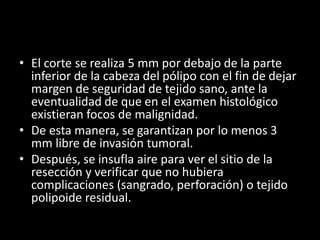 • El corte se realiza 5 mm por debajo de la parte
inferior de la cabeza del pólipo con el fin de dejar
margen de seguridad de tejido sano, ante la
eventualidad de que en el examen histológico
existieran focos de malignidad.
• De esta manera, se garantizan por lo menos 3
mm libre de invasión tumoral.
• Después, se insufla aire para ver el sitio de la
resección y verificar que no hubiera
complicaciones (sangrado, perforación) o tejido
polipoide residual.
 