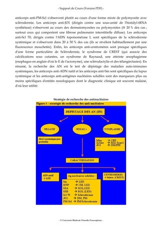 - Support de Cours (Version PDF) -
- © Université Médicale Virtuelle Francophone -
anticorps anti-PM-Scl s'observent plutôt au cours d'une forme mixte de polymyosite avec
sclérodermie. Les anticorps anti-JO1 (dirigés contre une sous-unité de l'histidyl-tRNA
synthétase) s'observent au cours des dermatomyosites ou polymyosites (@ 20 % des cas ;
surtout ceux qui comportent une fibrose pulmonaire interstitielle diffuse). Les anticorps
anti-Scl 70, dirigés contre l'ADN topoisomérase I, sont spécifiques de la sclérodermie
systémique et s'observent dans 20 à 50 % des cas (ils se révèlent habituellement par une
fluorescence mouchetée). Enfin, les anticorps anti-centromères sont presque spécifiques
d'une forme particulière de Sclérodermie, le syndrome de CREST (qui associe des
calcifications sous cutanées, un syndrome de Raynaud, une atteinte œsophagienne
(esophagus en anglais d'où le E de l'acronyme), une sclérodactylie et des télangiectasies). En
résumé, la recherche des AN est le test de dépistage des maladies auto-immunes
systémiques, les anticorps anti-ADN natif et les anticorps anti-Sm sont spécifiques du lupus
systémique et les anticorps anti-antigènes nucléaires solubles sont des marqueurs plus ou
moins spécifiques d'entités nosologiques dont le diagnostic clinique est souvent malaisé,
d'où leur utilité.
Stratégie de recherche des antinucléaires
 