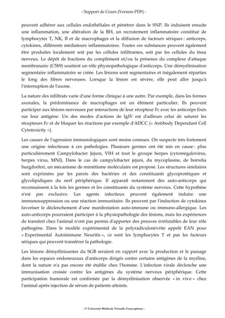 - Support de Cours (Version PDF) -
- © Université Médicale Virtuelle Francophone -
peuvent adhérer aux cellules endothéliales et pénétrer dans le SNP. Ils induisent ensuite
une inflammation, une altération de la BH, un recrutement inflammatoire constitué de
lymphocytes T, NK, B et de macrophages et la diffusion de facteurs sériques : anticorps,
cytokines, différents médiateurs inflammatoires. Toutes ces substances peuvent également
être produites localement soit par les cellules infiltrantes, soit par les cellules du tissu
nerveux. Le dépôt de fractions du complément et/ou la présence du complexe d'attaque
membranaire (C5b9) soutient un rôle physiopathologique d'anticorps. Une démyélinisation
segmentaire inflammatoire se créée. Les lésions sont segmentaires et inégalement réparties
le long des fibres nerveuses. Lorsque la lésion est sévère, elle peut aller jusqu'à
l'interruption de l'axone.
La nature des infiltrats varie d'une forme clinique à une autre. Par exemple, dans les formes
axonales, la prédominance de macrophages est un élément particulier. Ils peuvent
participer aux lésions nerveuses par interactions de leur récepteur Fc avec les anticorps fixés
sur leur antigène. Un des modes d'actions de IgIV est d'ailleurs celui de saturer les
récepteurs Fc et de bloquer les réactions par exemple d'ADCC (« Antibody Dependant Cell
Cytotoxicity »).
Les causes de l'agression immunologiques sont moins connues. On suspecte très fortement
une origine infectieuse à ces pathologies. Plusieurs germes ont été mis en cause : plus
particulièrement Campylobacter Jejuni, VIH et tout le groupe herpes (cytomégalovirus,
herpes virus, MNI). Dans le cas de campylobacter jejuni, du mycoplasme, de borrelia
burgdorferi, un mécanisme de mimétisme moléculaire est proposé. Les structures similaires
sont exprimées par les parois des bactéries et des constituants glycoprotéiques et
glycolipidiques du nerf périphérique. Il apparaît notamment des auto-anticorps qui
reconnaissent à la fois les germes et les constituants du système nerveux. Cette hypothèse
n'est pas exclusive. Les agents infectieux peuvent également induire une
immunosuppression ou une réaction immunitaire. Ils peuvent par l'induction de cytokines
favoriser le déclenchement d'une manifestation auto-immune ou immuno-allergique. Les
auto-anticorps pourraient participer à la physiopathologie des lésions, mais les expériences
de transfert chez l'animal n'ont pas permis d'apporter des preuves irréfutables de leur rôle
pathogène. Dans le modèle expérimental de la polyradiculonévrite appelé EAN pour
« Experimental Autoimmune Neuritis », ce sont les lymphocytes T et pas les facteurs
sériques qui peuvent transférer la pathologie.
Les lésions démyélinisantes du SGB seraient en rapport avec la production et le passage
dans les espaces endoneuraux d'anticorps dirigés contre certains antigènes de la myéline,
dont la nature n'a pas encore été établie chez l'homme. L'infection virale déclenche une
immunisation croisée contre les antigènes du système nerveux périphérique. Cette
participation humorale est confirmée par la démyélinisation observée « in vivo » chez
l'animal après injection de sérum de patients atteints.
 