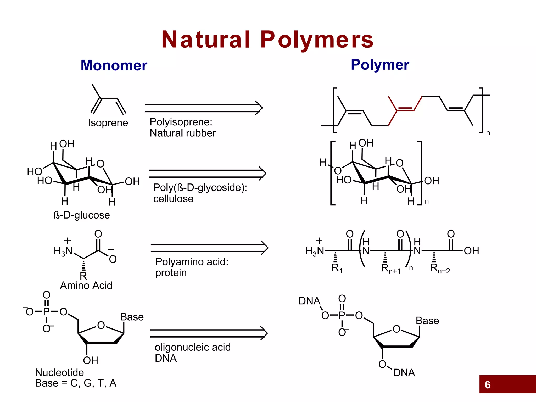 6
Natural Polymers
Monomer Polymer
Isoprene
n
Polyisoprene:
Natural rubber
O
H
HO
H
HO
H
H
OHH
OH
OH
Poly(ß-D-glycoside):
cellulose
O
H
O
H
HO
H
H
OHH
OH
OH
H
n
ß-D-glucose
H3N
O
O
R
Polyamino acid:
protein
H3N
O
H
N
R1
O
H
N
Rn+1
O
OH
Rn+2n
Amino Acid
Base
O
OH
OP
O
O
O
oligonucleic acid
DNA
Nucleotide
Base = C, G, T, A
Base
O
O
OP
O
O
O
DNA
DNA
 