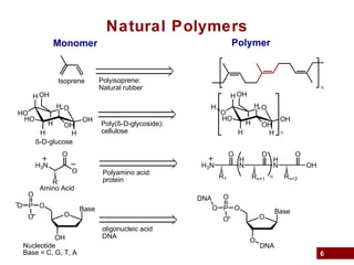 6
Natural Polymers
Monomer Polymer
Isoprene
n
Polyisoprene:
Natural rubber
O
H
HO
H
HO
H
H
OHH
OH
OH
Poly(ß-D-glycoside):
cellulose
O
H
O
H
HO
H
H
OHH
OH
OH
H
n
ß-D-glucose
H3N
O
O
R
Polyamino acid:
protein
H3N
O
H
N
R1
O
H
N
Rn+1
O
OH
Rn+2n
Amino Acid
Base
O
OH
OP
O
O
O
oligonucleic acid
DNA
Nucleotide
Base = C, G, T, A
Base
O
O
OP
O
O
O
DNA
DNA
 