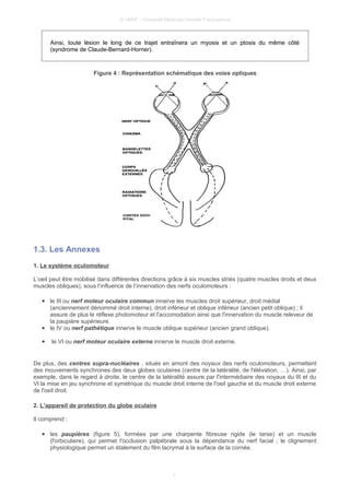 © UMVF - Université Médicale Virtuelle Francophone
Ainsi, toute lésion le long de ce trajet entraînera un myosis et un ptosis du même côté
(syndrome de Claude-Bernard-Horner).
Figure 4 : Représentation schématique des voies optiques
1.3. Les Annexes
1. Le système oculomoteur
L’oeil peut être mobilisé dans différentes directions grâce à six muscles striés (quatre muscles droits et deux
muscles obliques), sous l’influence de l’innervation des nerfs oculomoteurs :
● le III ou nerf moteur oculaire commun innerve les muscles droit supérieur, droit médial
(anciennement dénommé droit interne), droit inférieur et oblique inférieur (ancien petit oblique) ; il
assure de plus le réflexe photomoteur et l'accomodation ainsi que l'innervation du muscle releveur de
la paupière supérieure.
● le IV ou nerf pathétique innerve le muscle oblique supérieur (ancien grand oblique).
● le VI ou nerf moteur oculaire externe innerve le muscle droit externe.
De plus, des centres supra-nucléaires , situés en amont des noyaux des nerfs oculomoteurs, permettent
des mouvements synchrones des deux globes oculaires (centre de la latéralité, de l'élévation, …). Ainsi, par
exemple, dans le regard à droite, le centre de la latéralité assure par l'intermédiaire des noyaux du III et du
VI la mise en jeu synchrone et symétrique du muscle droit interne de l'oeil gauche et du muscle droit externe
de l'oeil droit.
2. L’appareil de protection du globe oculaire
Il comprend :
● les paupières (figure 5), formées par une charpente fibreuse rigide (le tarse) et un muscle
(l'orbiculaire), qui permet l'occlusion palpébrale sous la dépendance du nerf facial ; le clignement
physiologique permet un étalement du film lacrymal à la surface de la cornée.
7
 